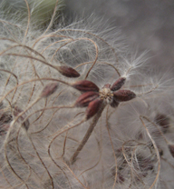 Beratung f�r �ltere Menschen