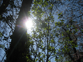 Einzeltherapie / Beratung / Paarberatung                           